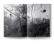 Load image into Gallery viewer, DIG BOOK #2025