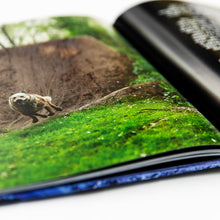 Load image into Gallery viewer, DERAILED - MAINTAIN IV.V BOOK / DVD