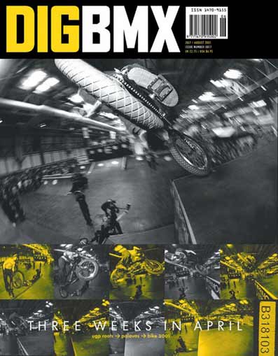 DIG ISSUE 17